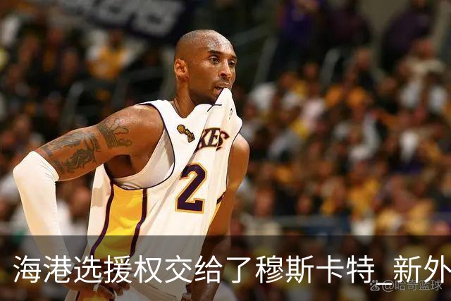 海港选援权交给了穆斯卡特 新外援偏向巴西帮