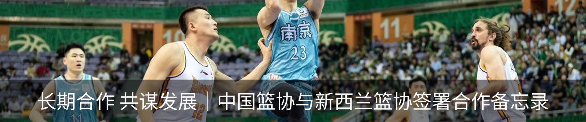 新闻动态